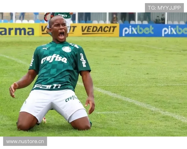 恩德里克帕尔梅拉斯早期荣誉解析