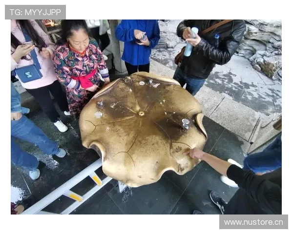 马琳家的冰箱里塞满了能量饮料，连矿泉水都得排队